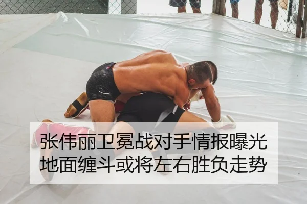 张伟丽卫冕战对手情报曝光 地面缠斗或将左右胜负走势